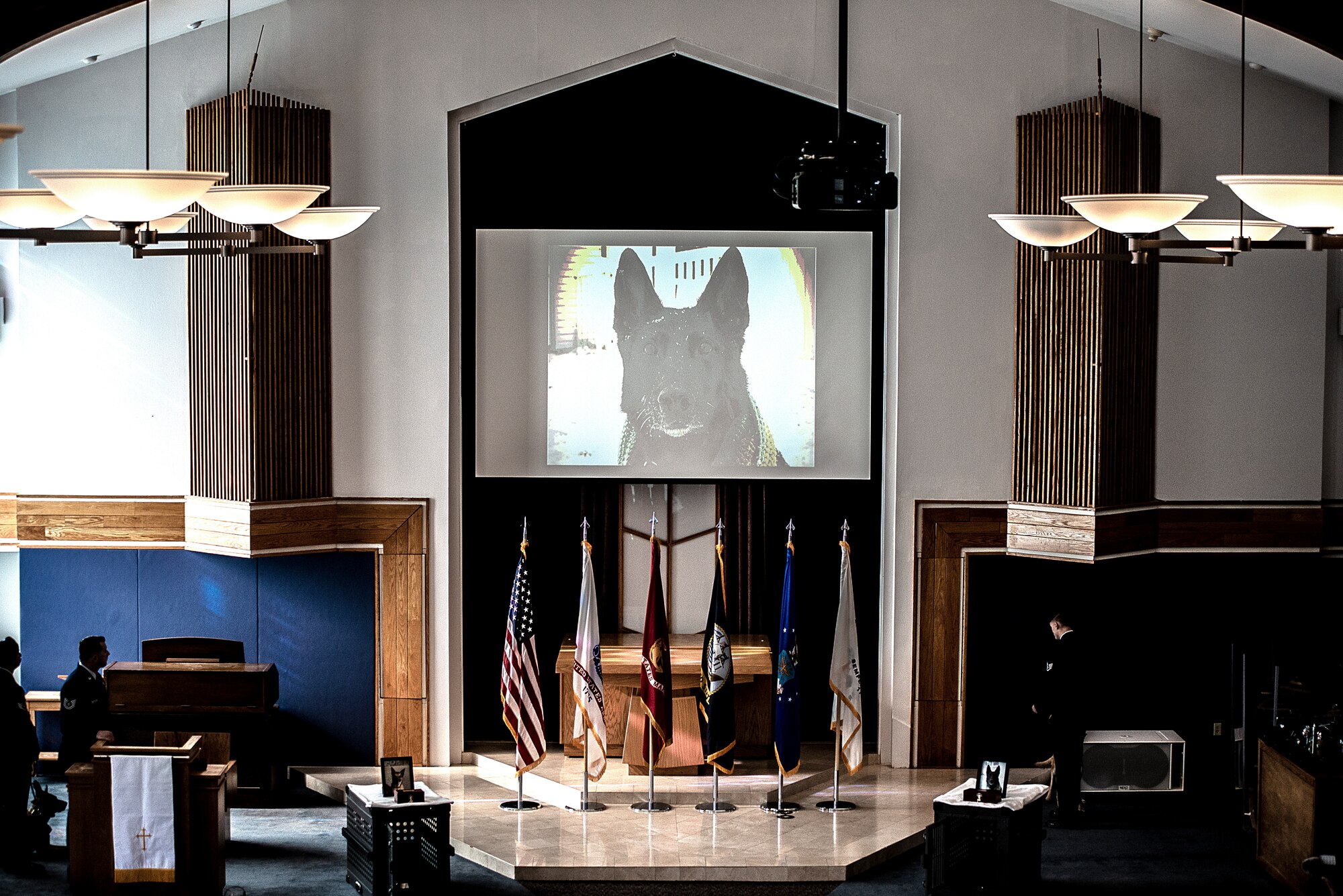 A video plays to honor Robby and Bagira, 87th Security Forces military working dogs, during a memorial ceremony at the McGuire Chapel on Joint Base McGuire-Dix-Lakehurst, New Jersey, Nov. 1, 2019. As a patrol explosive detector dog, Robby totaled over 50,000 hours of detection time while serving at home and abroad in Saudi Arabia, Kyrgyzstan and Kuwait. Bagira was also a patrol explosive dog, totaling more than 38,000 hours of detection time serving at home and abroad in Afghanistan and Saudi Arabia.