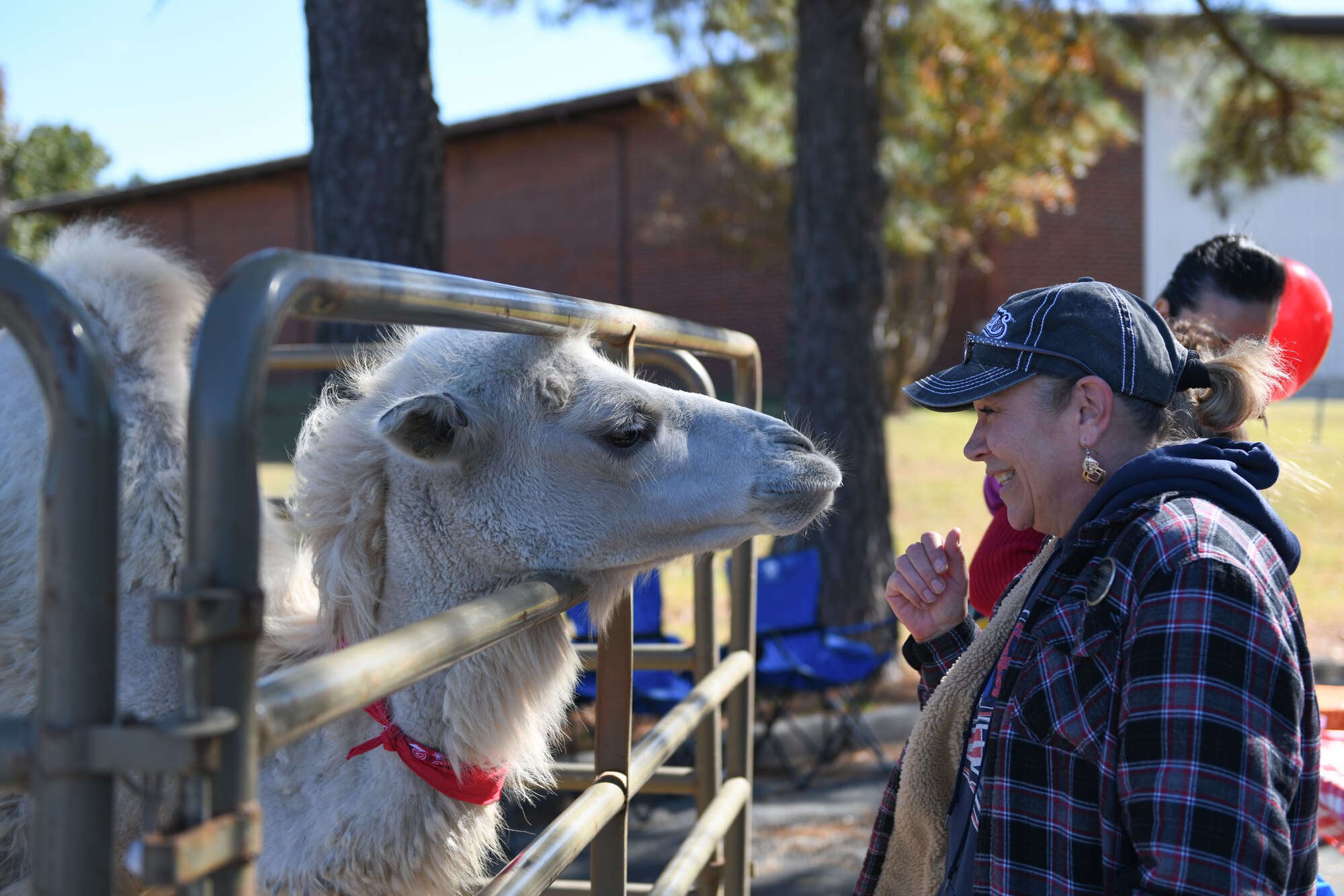 a woman with a camel