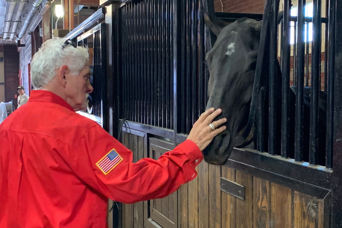 An older man pets the nose of a horse.