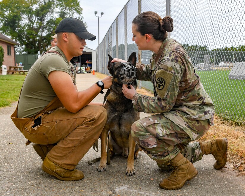 U.S. Army Capt. Jessica Rolley, Joint Base Langley-Eustis veterinarian, examines Duke, 633rd Security Forces Squadron military working dog, for ear abnormalities at JBLE, Virginia, Oct. 1, 2019.