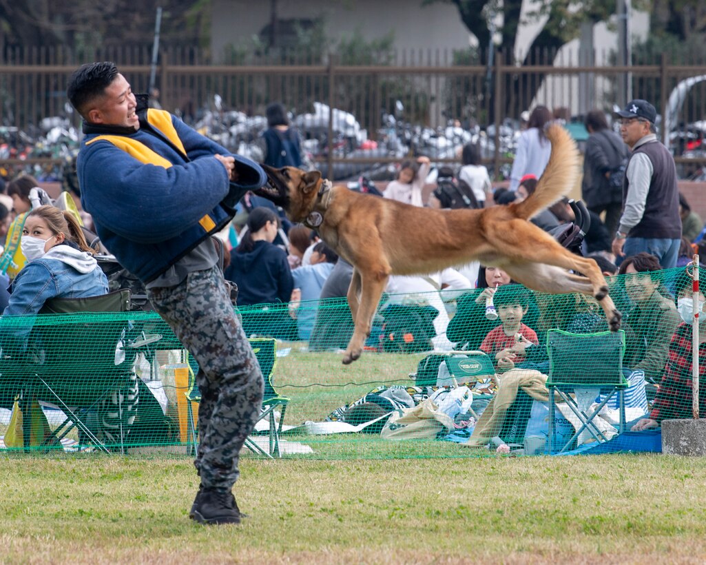 Yokota first for MWDs at Iruma Air Show