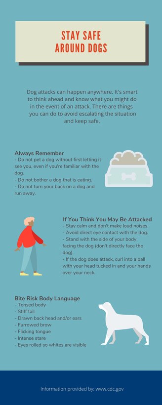 Dog attacks can happen anywhere. It’s smart to think ahead and know how to react in the event of an attack. (U.S. Air Force infographic by Airman Amanda Lovelace)