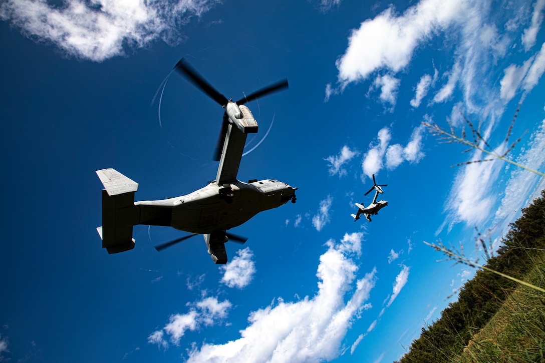 U.S. Marine Corps MV-22B Ospreys assigned to Medium Tiltrotor Squadron 268 fly over Marine Corps Training Area Bellows in support of cherry picker drills conducted by Combat Assault Company, 3rd Marine Regiment, Oct. 31, 2019. The training consisted of patrols, cherry picker drills, and Military Operation in Urban Terrain Training.
