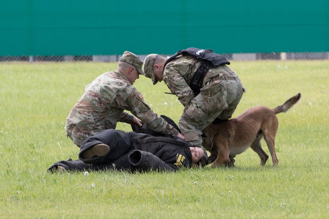 DLA Troop Support Subsistence supply chain added 27 items to their menu catalogs to ensure military working dogs have adequate nutrition to provide support to the warfighter.