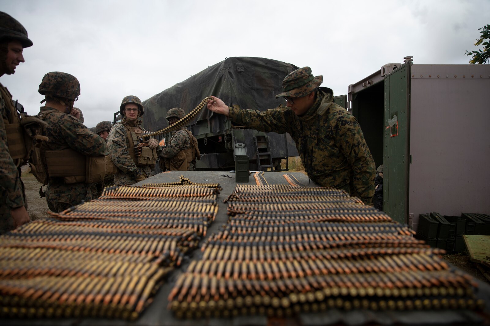Photo of Marines at Training Exercise