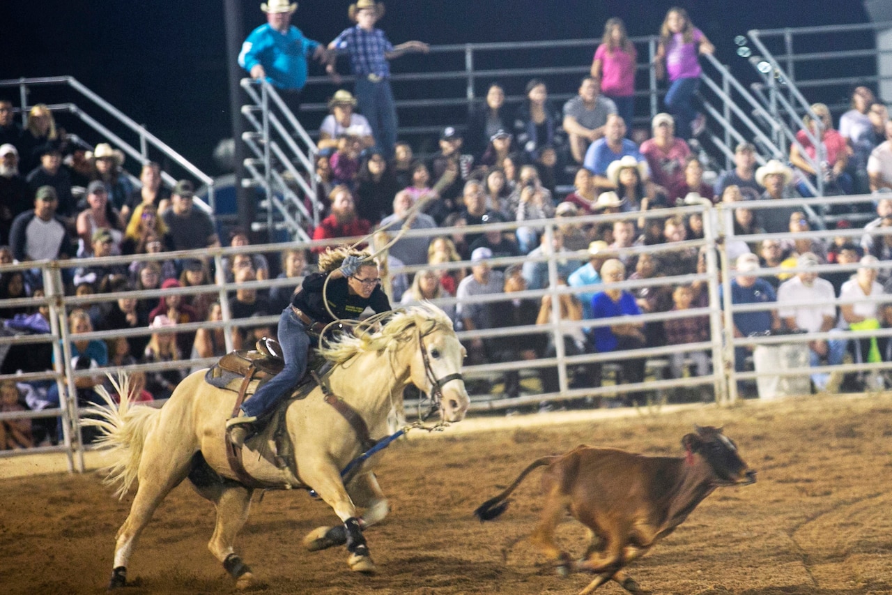A rider is hunched over a horse as they chase a cow during a rodeo.