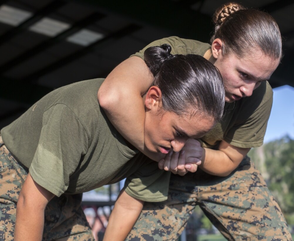 Marine Corps Martial Arts Program (MCMAP)