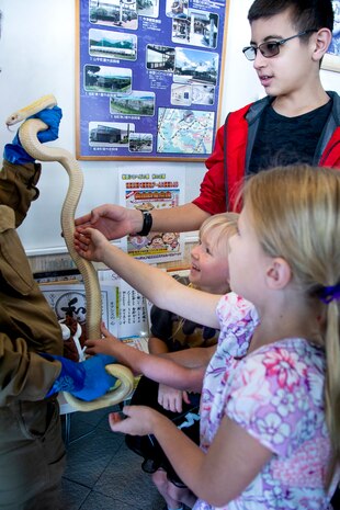 Marine Corps Air Station Iwakuni residents touch an Iwakuni white snake during a Cultural Adaptation Program trip to the Iwakuni Shirohebi Shrine in Iwakuni, Japan, Nov. 1, 2019. The visit to the shrine gave station residents the opportunity to learn the history of, and interact with, the white snake species.(U.S. Marine Corps photo by Cpl. Angelo Sagum)