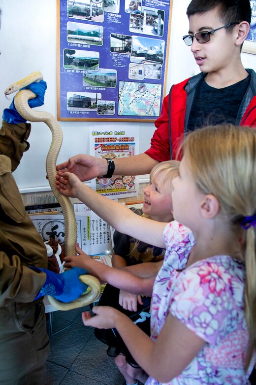 Marine Corps Air Station Iwakuni residents touch an Iwakuni white snake during a Cultural Adaptation Program trip to the Iwakuni Shirohebi Shrine in Iwakuni, Japan, Nov. 1, 2019. The visit to the shrine gave station residents the opportunity to learn the history of, and interact with, the white snake species.(U.S. Marine Corps photo by Cpl. Angelo Sagum)