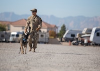 Security Forces member walks a military working dog.