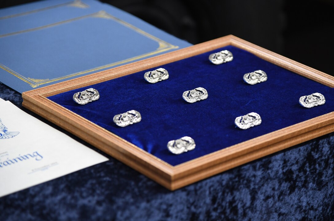 Air Force occupational badges are on display during the 338th Training Squadron radio frequency transmission systems course graduation inside Jones Hall at Keesler Air Force Base, Mississippi, Nov. 8, 2019. Phil Bryant, Governor of Mississippi, presented certificates to the nine course graduates during the ceremony. (U.S. Air Force photo by Kemberly Groue)