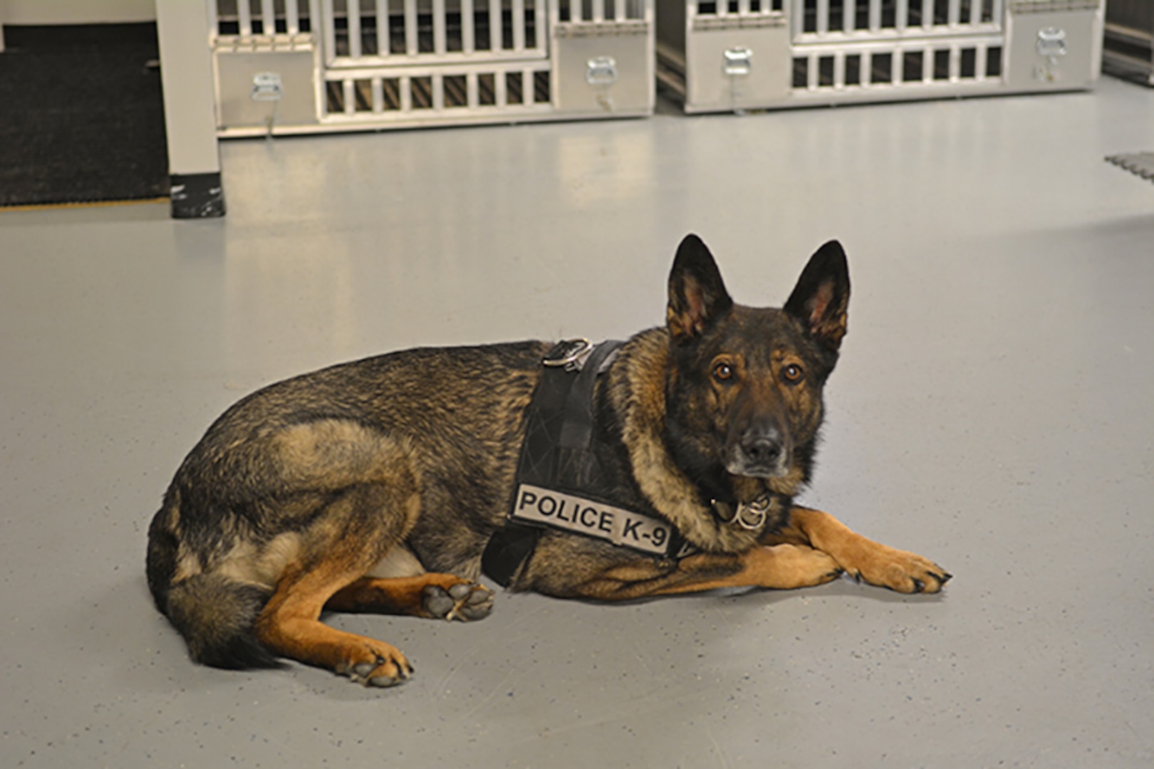 Sid, the K-9, officially retired from federal service on Nov. 8.