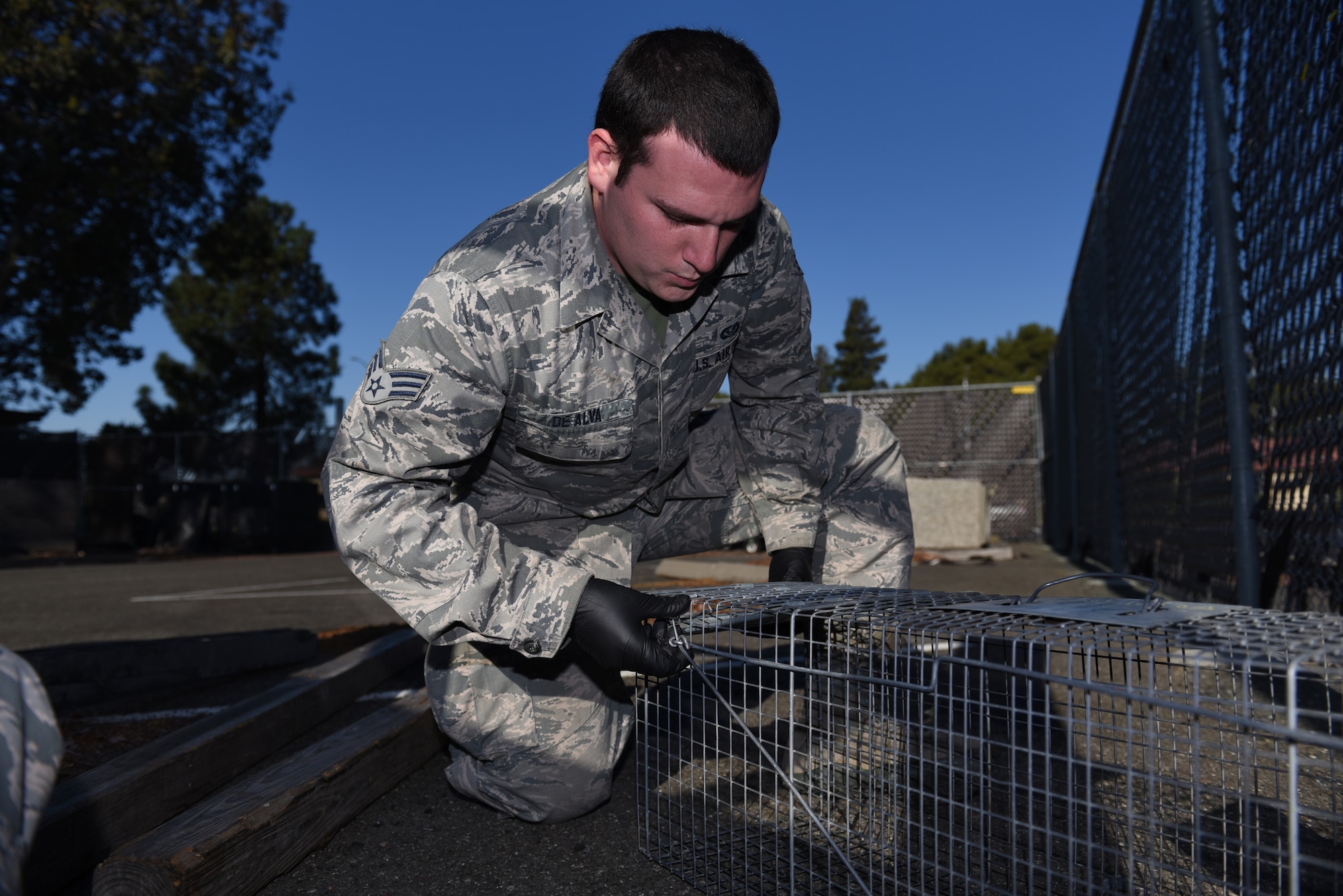 U.S. Air Force Senior Airman David De Alva, 60th Civil Engineer Squadron pest management technician, sets down a trap to catch vermin Nov. 8, 2019, at Travis Air Force Base, California. De Alva places traps around Travis to capture unwelcome critters roaming the base. (U.S. Air Force photo by Airman 1st Class Cameron Otte)