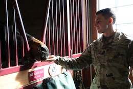 Capt. Mark H. Schneider, Headquarters and Headquarters Company (HHC) commander, 1st Theater Sustainment Command, feeds Blackjack an alfalfa cookie during a visit to see the mascot on Nov. 13, 2019.