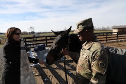 Theresa Scott, family readiness support assistant, 1st Theater Sustainment Command, feeds Blackjack an alfalfa cookie Nov. 13, 2019 in Simpsonville, Ky.