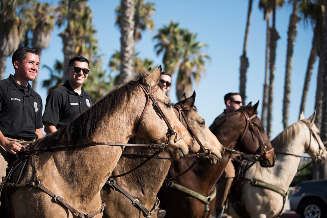 30th Security Forces Squadron Conservation unit  patrolmen and Military Working Horses during the Santa Barbara Veterans Day Parade Nov. 9, 2019, in Santa Barbara, Calif. The 30th SFS MWH law enforcement unit is the only equine patrol unit within the Department of Defense and is one of four conservation units in the U.S. Air Force. The unit patrols hard-to-reach hunting and fishing areas at Vandenberg Air Force Base, monitors delicate beach eco-systems, and participates in parades and official engagements. (U.S. Air Force photo by Airman 1st Class Hanah Abercrombie)