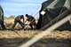 U.S. Air Force Col. Jason Pifer, 563rd Rescue Group commander, and Col. Mike Drowley, 355th Wing commander, set up sleeping cots during Exercise Bushwhacker 19-08 at Libby Army Airfield, Arizona, Nov. 2, 2019. DM is preparing to be able to deploy its entire wing to remain adaptive, deploy in an austere location and answer the nation’s call. (U.S. Air Force photo by Senior Airman Mya M. Crosby)
