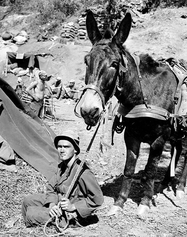 A soldier sits on bare ground holding a lead rope for a mule.