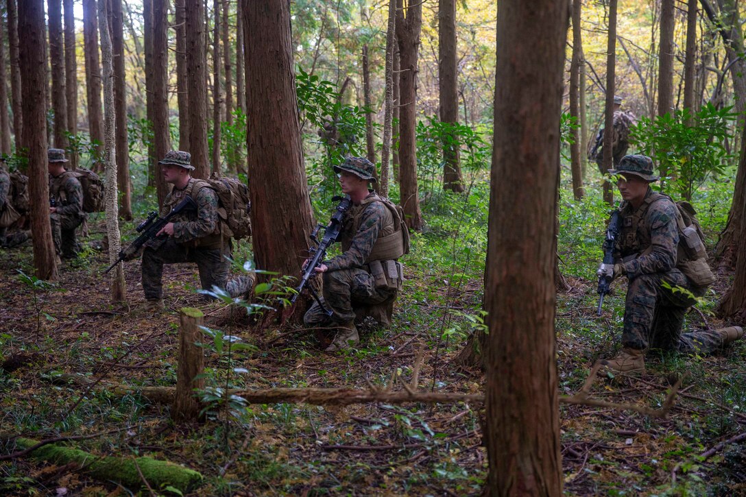 Marines kneel in a wooded area.