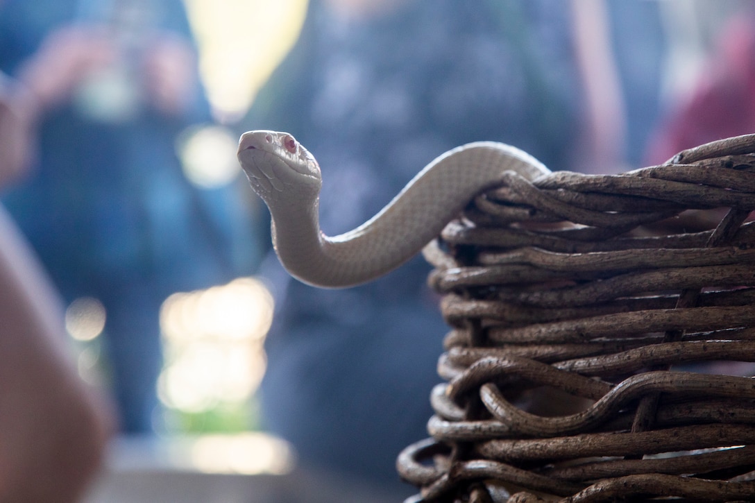 Photo by Cpl. Angelo Sagum