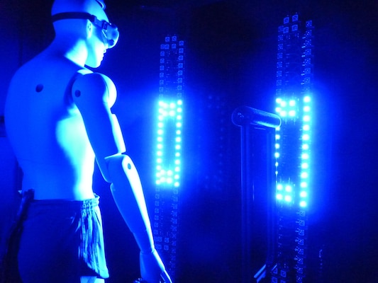 Array of blue light-emitting diodes and time-gated specialized camera is used to collect whole body image data from test mannequin (Courtesy Howard J. Walls/Aerosol Control Group Lead, RTI International)