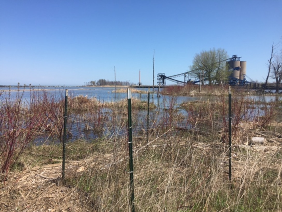 Exclosures protect the newly planted vegation on Walnut Beach