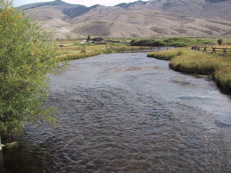A multi-year improvement project on the Lemhi River in southeast Idaho included water transactions, land acquisition and habitat restoration.