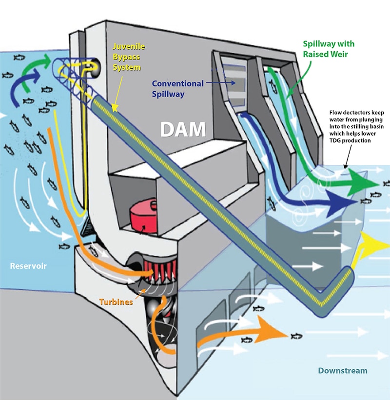 In addition to several fish passage systems in place at the lower Columbia River and lower Snake River dams, spillway deflectors produce a more horizontal spill flow and limit the plunge depth of water over the dam spillway. This reduces the amount of entrained nitrogen that creates total dissolved gas, or TDG.