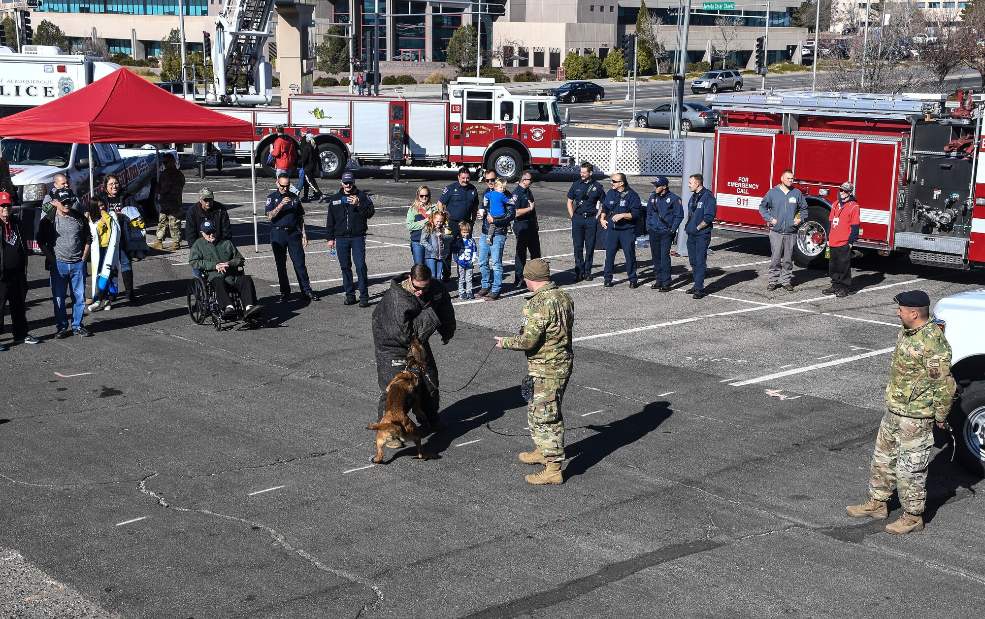 Photo of a military working dog doing a demonstration.