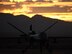 An MQ-9 Reaper sits on the flight line underneath a Nevada sunset.