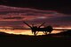 An MQ-9 Reaper sits on the flight line underneath a Nevada sunset.