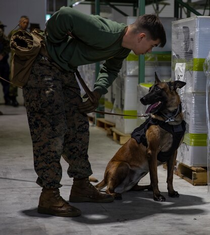 U.S. Marines and JMSDF Soldiers conduct MWD detection training exercises