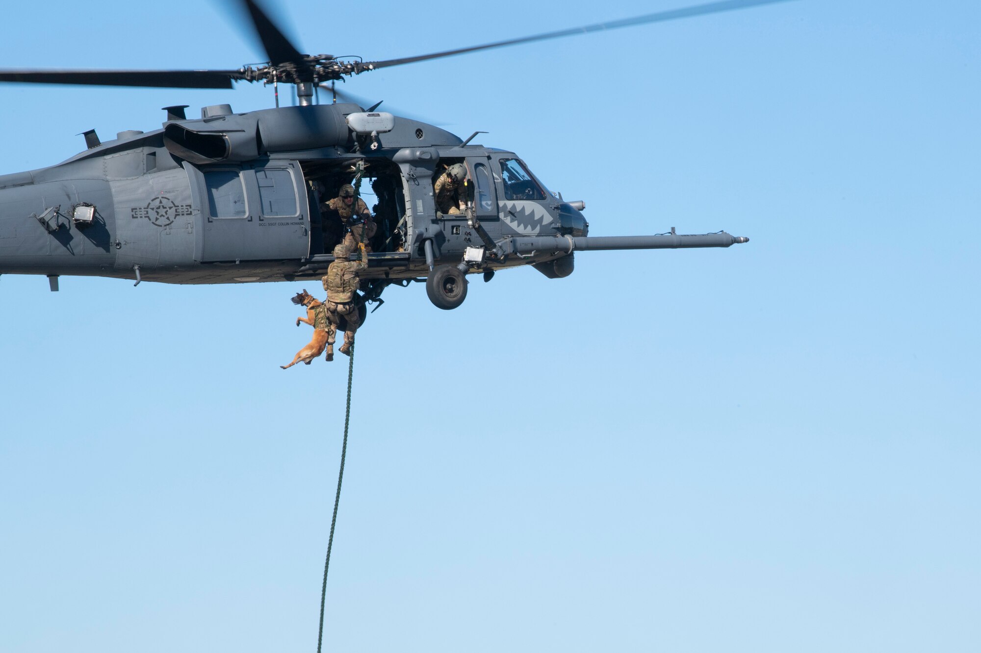 A photo of a military working dog handler fast-roping out a helicopter with his dog