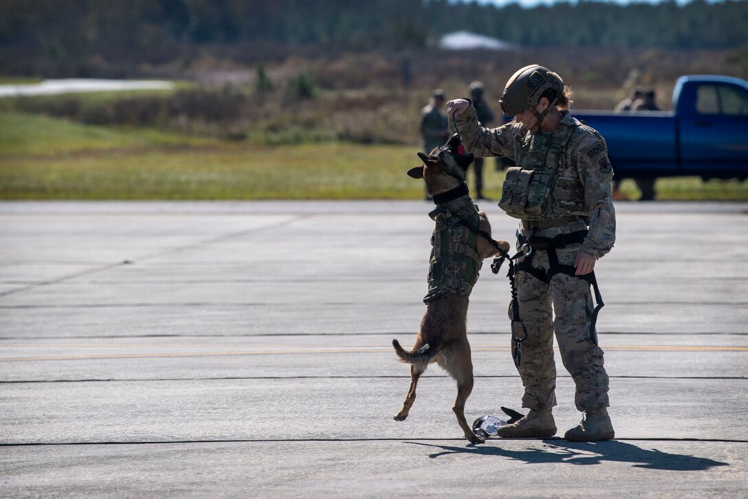 A photo of a military working dog handler rewarding her dog with a toy