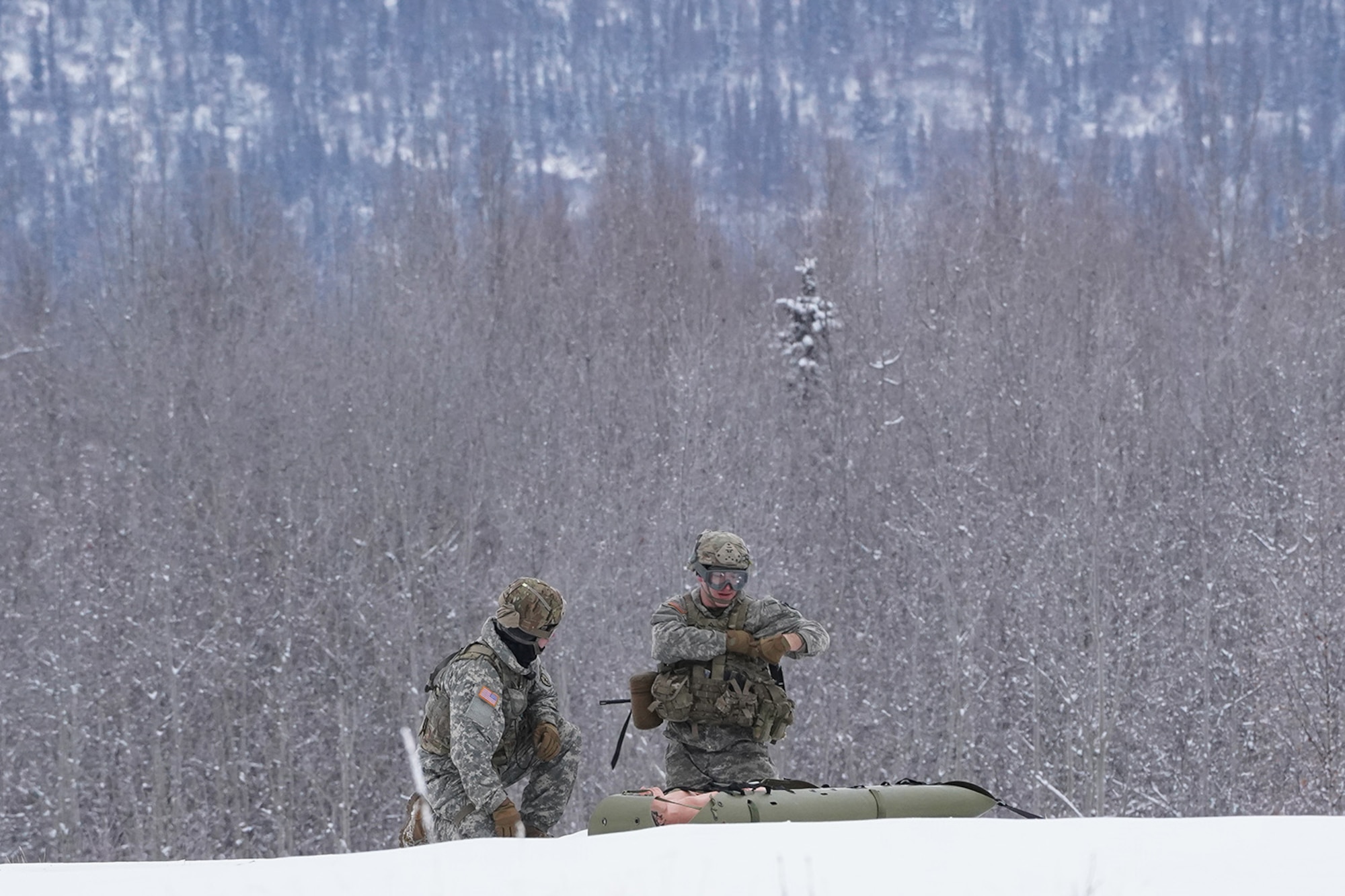 Medics from the 6th Brigade Engineer Battalion (Airborne), 4th Infantry Brigade Combat Team (Airborne), 25th Infantry Division, U.S. Army Alaska, guard a simulated casualty while training with aviators from the Alaska Army National Guard at Neibhur Drop Zone, Nov. 26, 2019, to hone their life-saving and Medevac hoist skills for the paratroopers’ upcoming rotation to the Joint Readiness Training Center at Fort Polk, La.