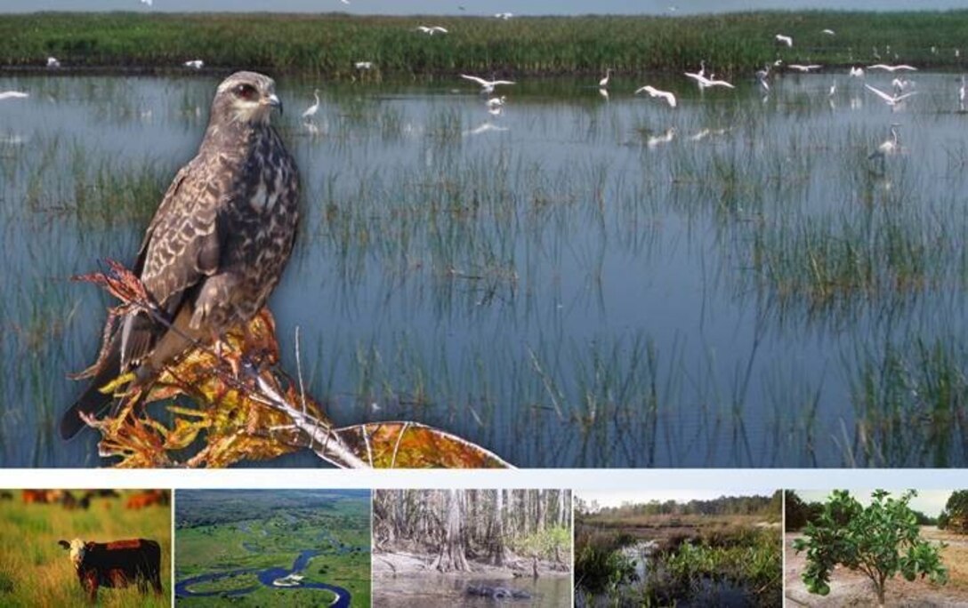 Lake Okeechobee Watershed Restoration Project