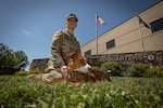 U.S. Army Capt. Melissa Parmenter and therapy dog Ac in front of the New Jersey National Guard’s Joint Force Headquarters on Joint Base McGuire-Dix-Lakehurst, N.J., Aug. 12, 2019. Parmenter and Ace are part of the New Jersey Army National Guard’s a Behavioral Health Office.