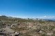 Annual award winners assigned to the 99th Communications Squadron cross a section of alpine flatland during a backpacking trip across the Continental Divide in Rocky Mountain National Park, Colorado, July 20, 2019. At such extreme elevations, harsh winds and low oxygen levels make it impossible for trees to grow. (U.S. Air Force photo by Staff Sgt. Joshua Kleinholz)