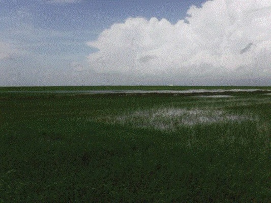 Central Everglades Planning Project - Everglades