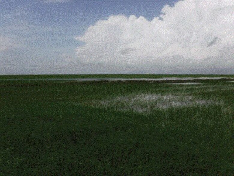 Central Everglades Planning Project - Everglades