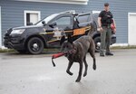 Deputy Jed Avery, a K-9 officer with the Osceola County Sheriff’s Department, Reed City, Michigan, and his dog, Ryker, participate in a K-9 training scenario at Alpena Combat Readiness Training Center, Mich., during the National Association of Professional Canine Handler's annual training seminar Oct. 1, 2019.