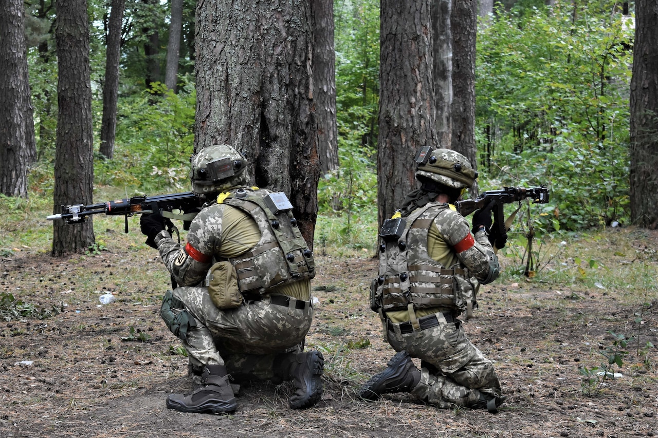 Two soldiers in crouch in a wooded area. Facing away from each other, they aim their rifles.