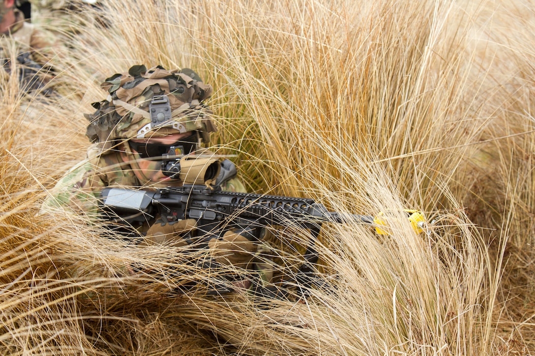 A soldier aims his gun while hidden in tall grass.