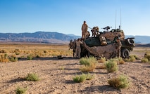 U.S. Marines with 3rd Light Armored Reconnaissance Battalion, 1st Marine Division, camouflage a Light Armored Vehicle during a Marine Corps Combat Readiness Evaluation (MCCRE) at Marine Corps Air Ground Combat Center Twentynine Palms, California, Sept. 6, 2019. The MCCRE is used to formally evaluate Marines on their combat readiness prior to their upcoming deployment. (U.S. Marine Corps photo by Lance Cpl. Roxanna Ortiz)