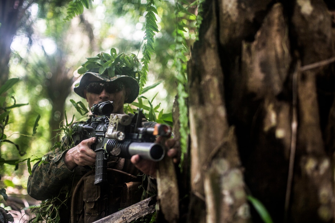 191003-M-EC058-1602 Kota Belud Range Complex, MALAYSIA (Oct. 3, 2019) A U.S. Marine with Lima Company, Battalion Landing Team 3/5, 11th Marine Expeditionary Unit, provides security during a patrolling exercise. Malaysian Armed Forces were joined by U.S. Marines and Sailors for exercise Tiger Strike 2019 where both forces participated in jungle survival, amphibious assault, aerial raids, and combat service support training and cultural exchanges. (U.S. Marine Corps photo by Cpl. Dalton S. Swanbeck)