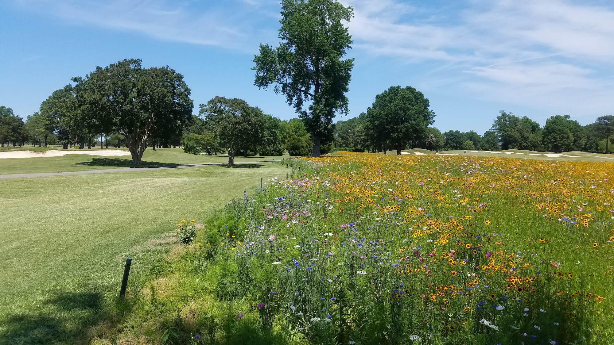 At Joint Base Langley-Eustis, Virginia, the installation built a pollinator garden to promote bee colony health. This garden likely supports other desired co-benefits as well, like water quality improvement and preservation of green space.