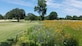 At Joint Base Langley-Eustis, Virginia, the installation built a pollinator garden to promote bee colony health. This garden likely supports other desired co-benefits as well, like water quality improvement and preservation of green space.