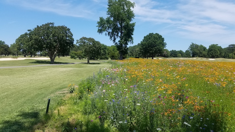 At Joint Base Langley-Eustis, Virginia, the installation built a pollinator garden to promote bee colony health. This garden likely supports other desired co-benefits as well, like water quality improvement and preservation of green space.