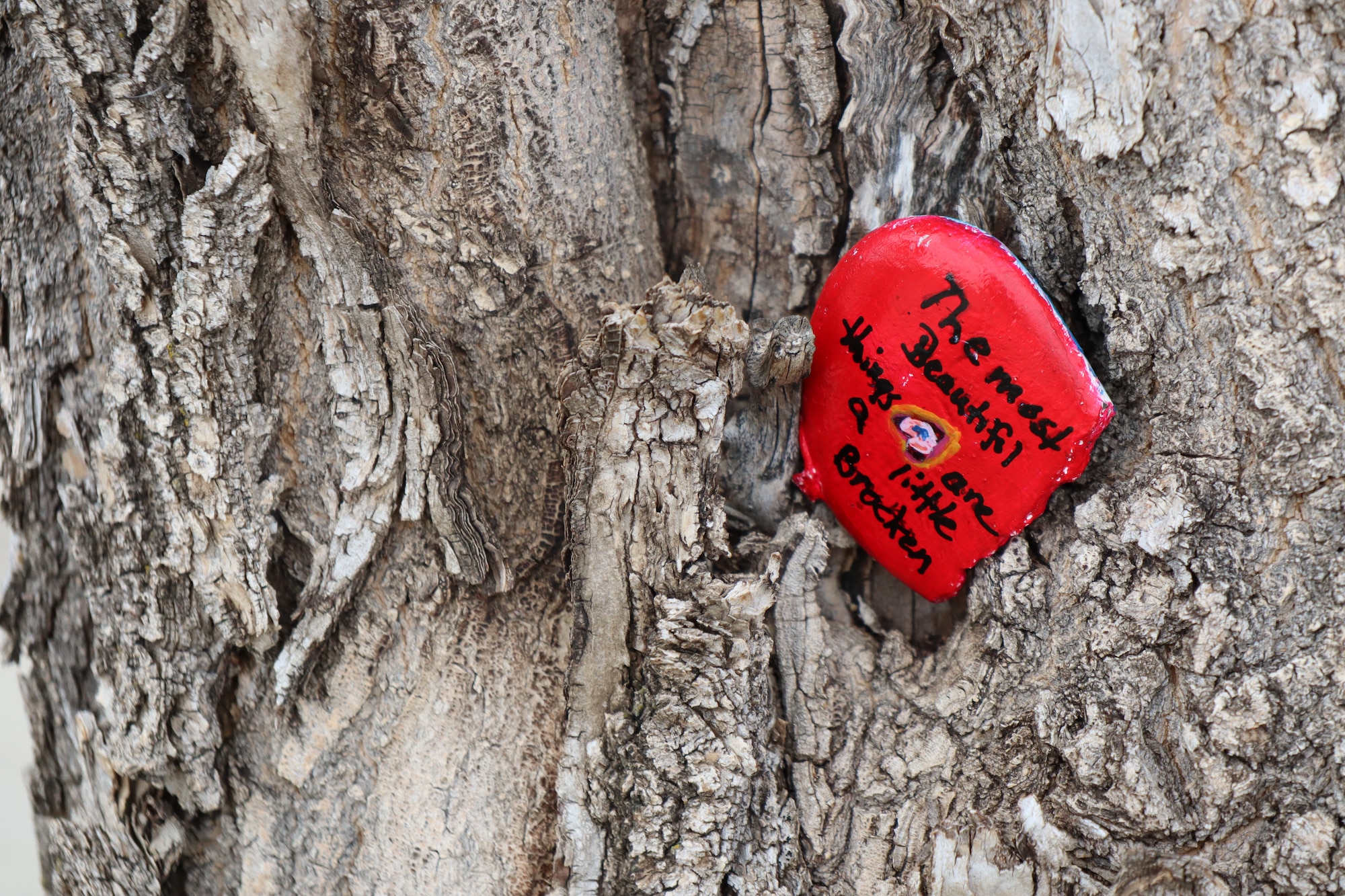 The 341st Medical Group supported a national movement by having members design rocks to spread awareness and positivity.