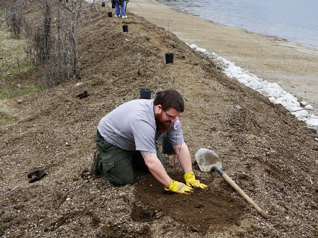 Natural Resource Specialist Kyle Mundy plants a Red Osier Dogwood on the bank for stabilization.